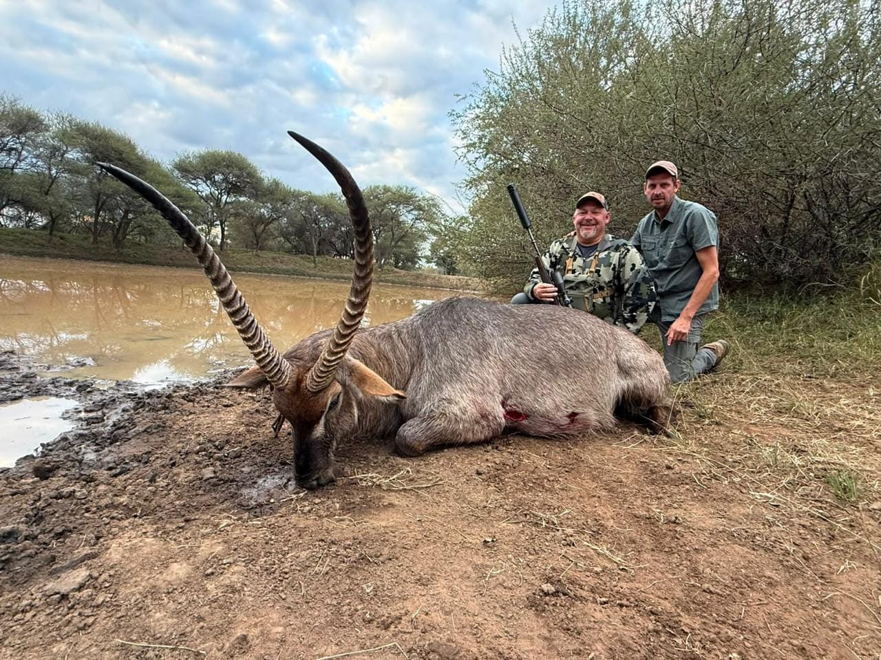 Waterbuck — JVZ Safaris