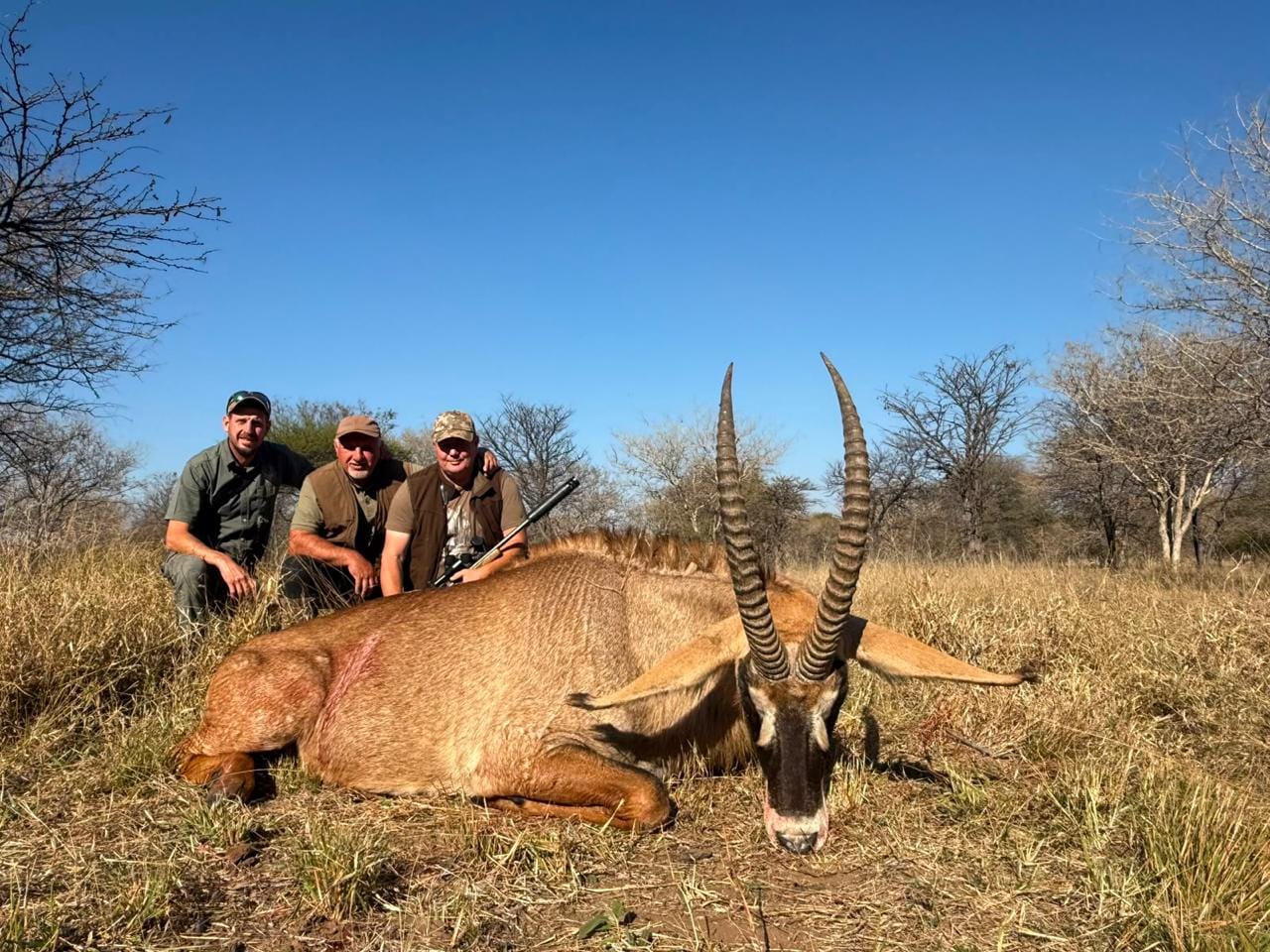 Eland — JVZ Safaris