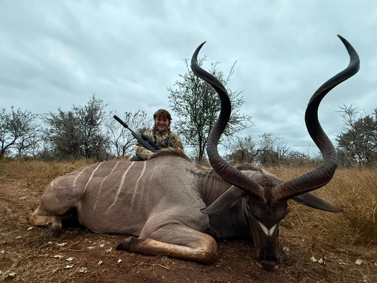 Kudu — JVZ Safaris