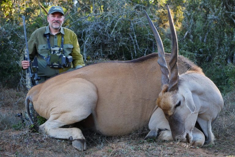 Cape Eland Safari