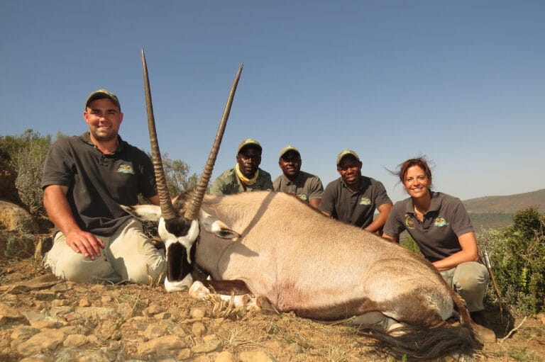 Gemsbuck / Oryx