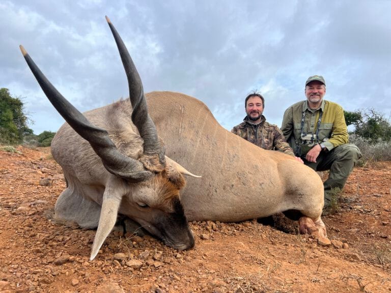 Eland
