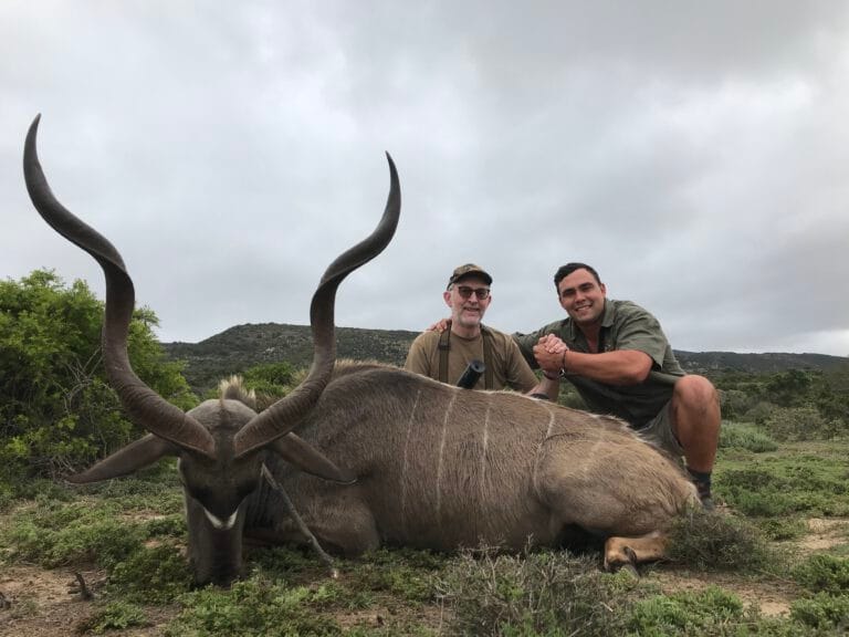 Eastern Cape Kudu