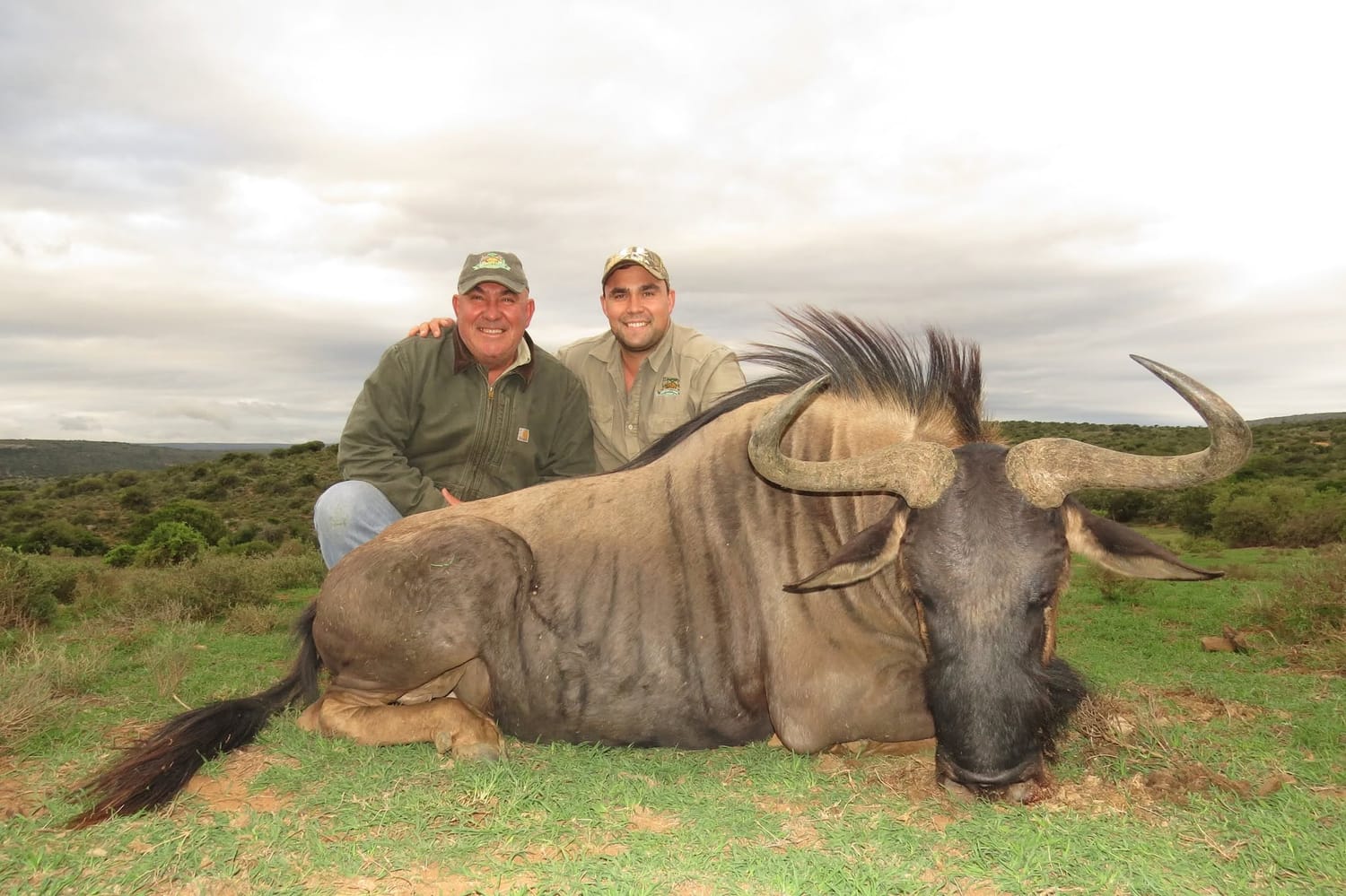 Safari Field Gallery 21