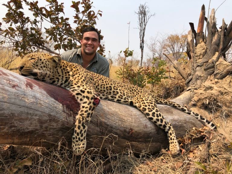 Leopard