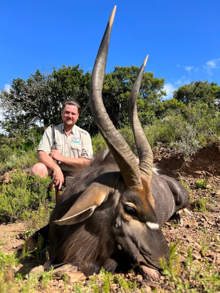 Nyala Safari