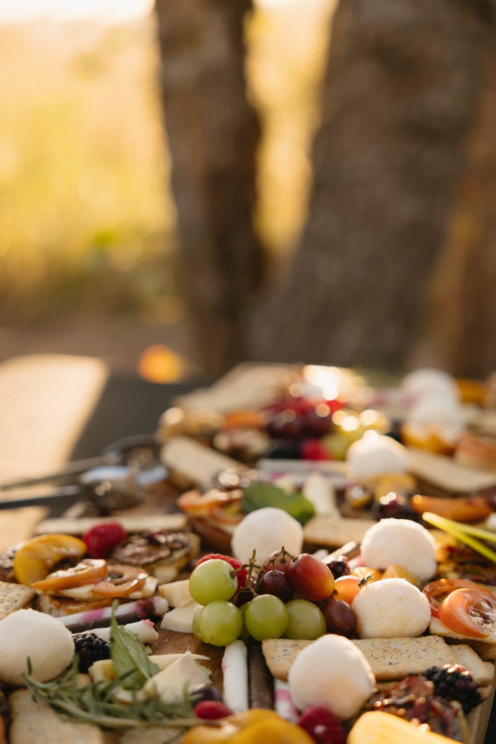 Thwane Safaris Namibia Lodge & Hospitality photograph 12