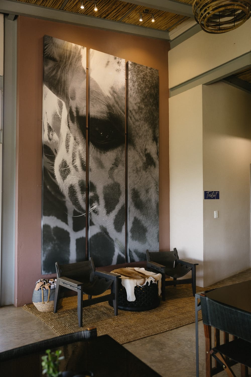 Thwane Safaris Namibia Lodge & Hospitality photograph 26