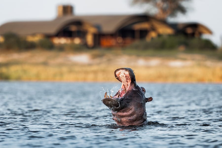 Etosha National Park