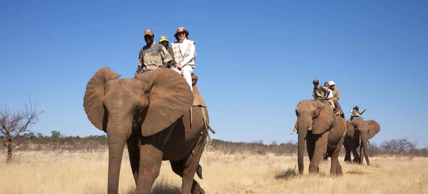 Thwane Safaris Namibia Photographic Safaris photograph 2