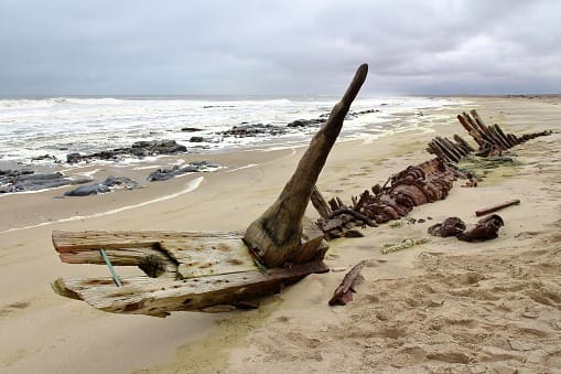 Thwane Safaris Namibia Photographic Safaris photograph 12