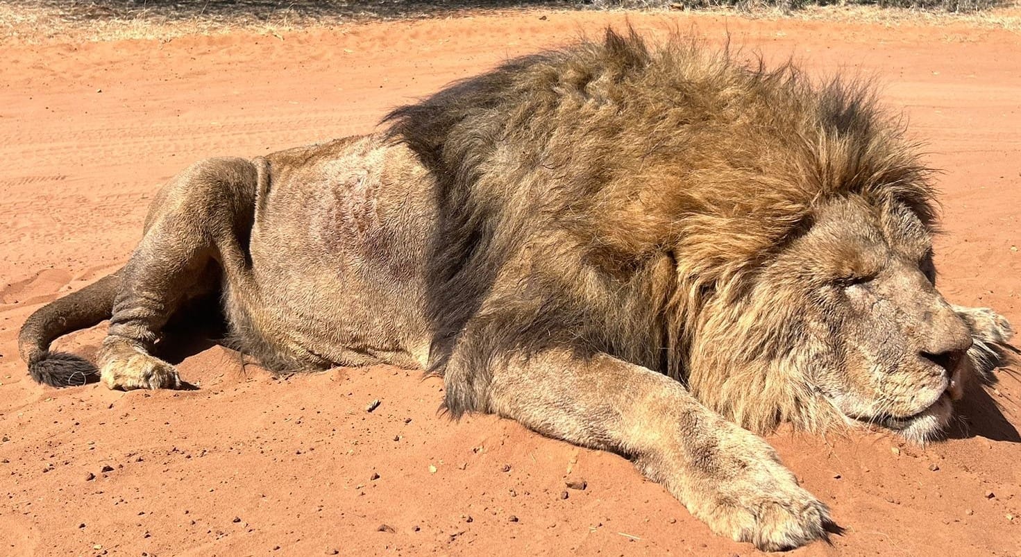 ESA Hunting Safaris — hunting photograph 4