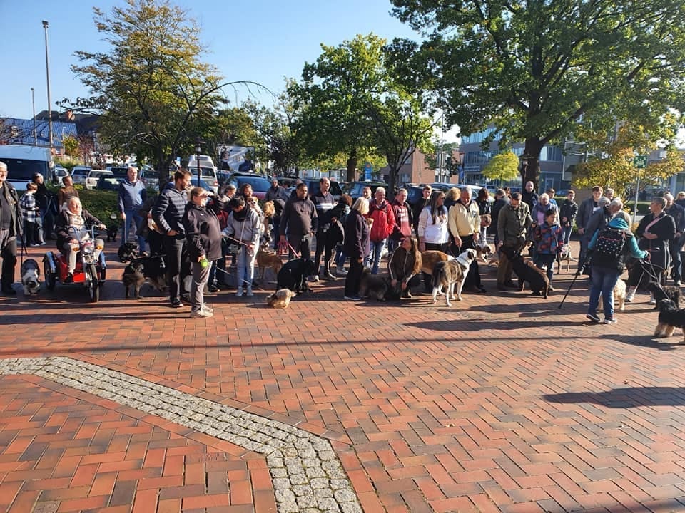 Und es waren viele zur Hundedemo gekommen