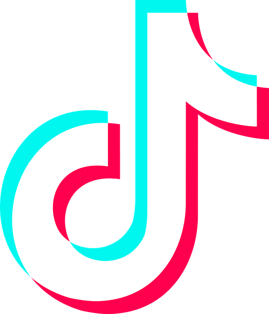 tiktok dibujarypintar.com