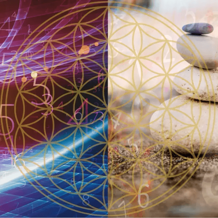 Wiskunde coaching 1u