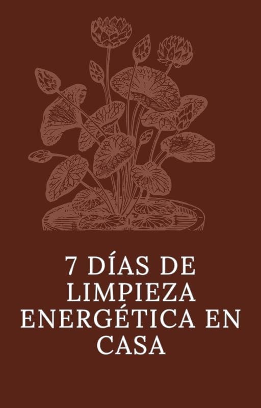 Imagen del Bono 1: 7 Rituales Diarios