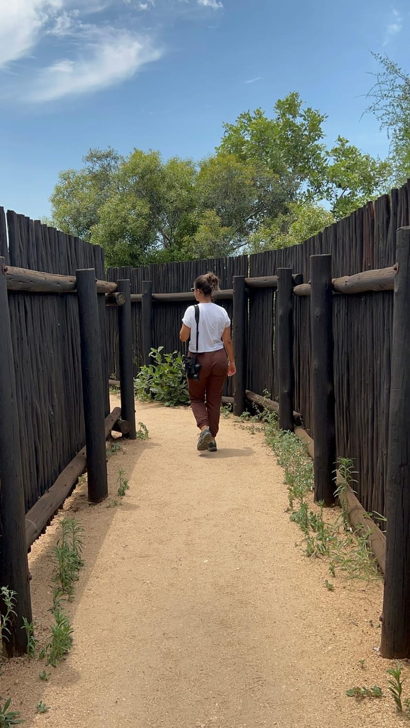 Entrada al Hide para fotografía de vida salvaje en Kruger
