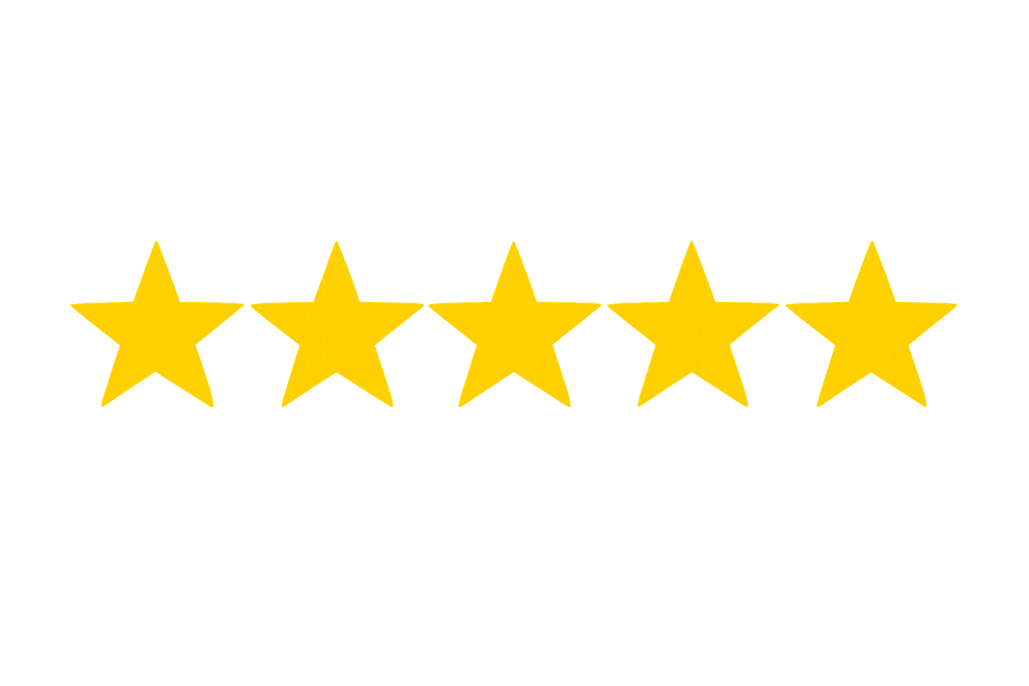 Five-star rating display showing excellent customer satisfaction, with all five stars filled in yellow, indicating David S.'s top rating for Fabiola's pet care services.