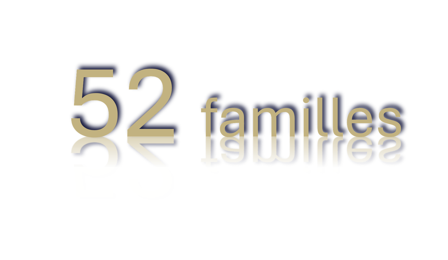 JDLI, c'est plus d'une cinquantaine de familles accompagnées