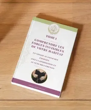 TOME 1 COMPRENDRE LES FORCES INVISIBLES