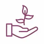 Cultiver son bien-être grâce au Feng Shui
