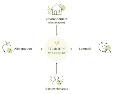 Influence de l’environnement et de l’habitat sur l’équilibre général