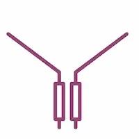 baguettes de radiesthésie