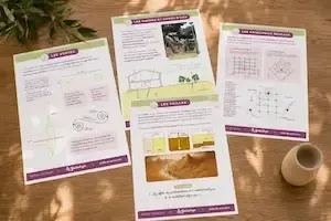 Supports pédagogiques utilisés pendant l’atelier de géobiologie