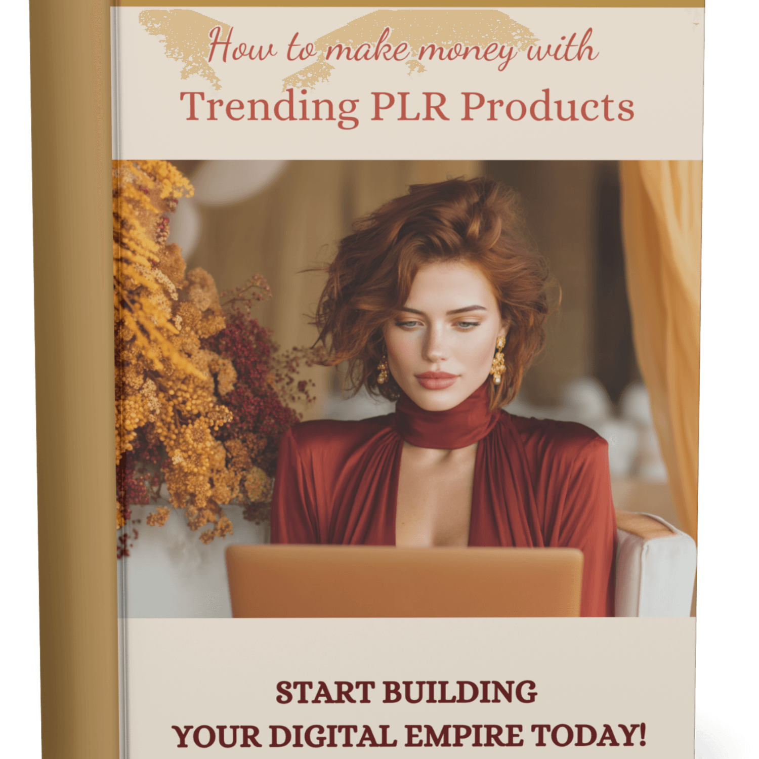 Guide: How to make money with trending PLR products with MRR rights!