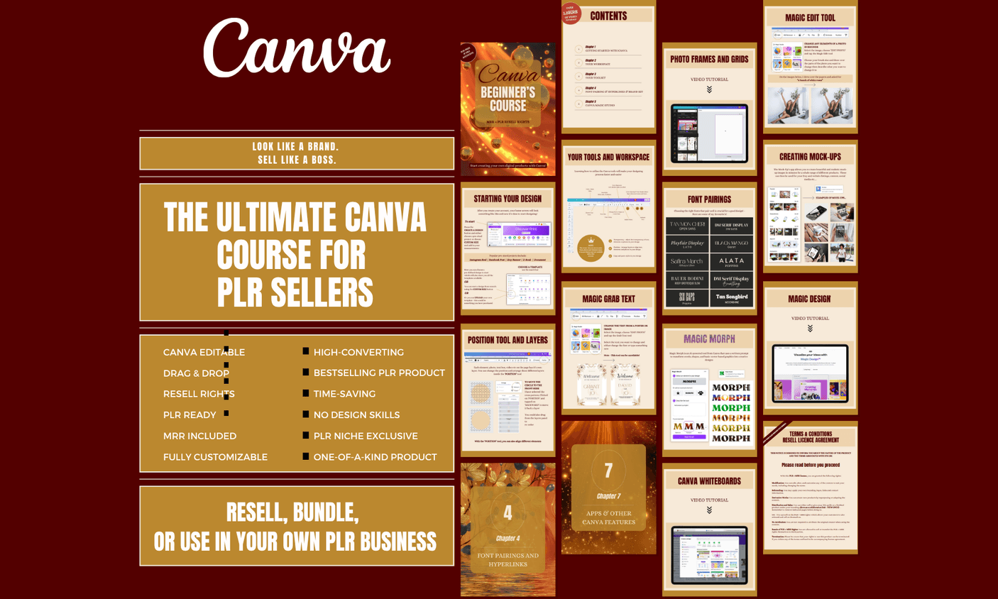 Canva Beginner's Course with PLR/MRR rights