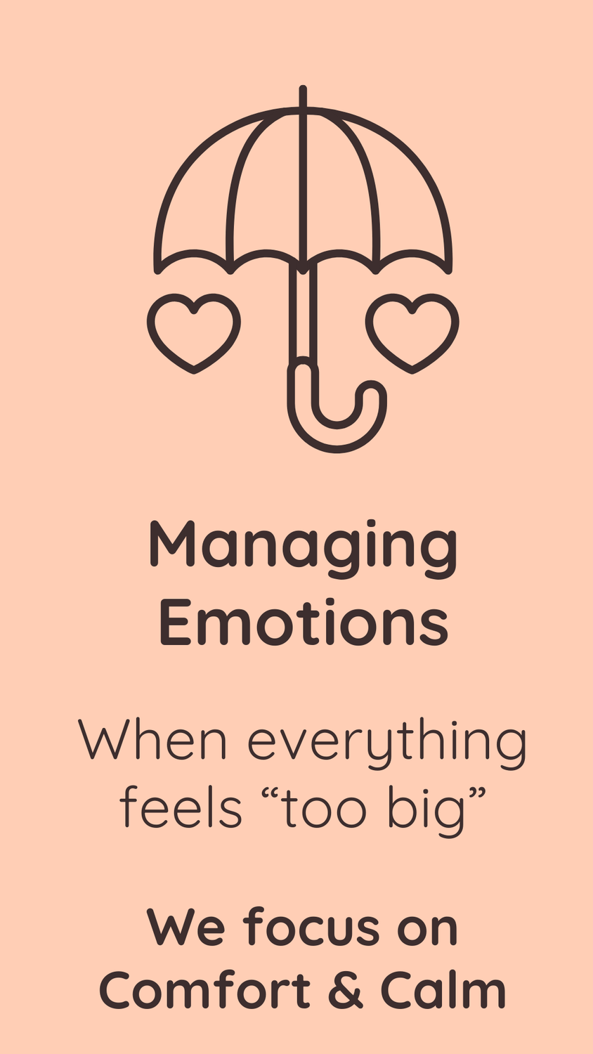 Mangaing Emotions - when everything feels to big - we focus on comfort and calm 