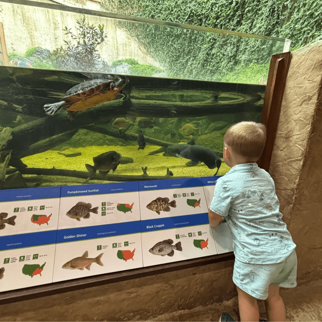 Pre-School Sleep Guide