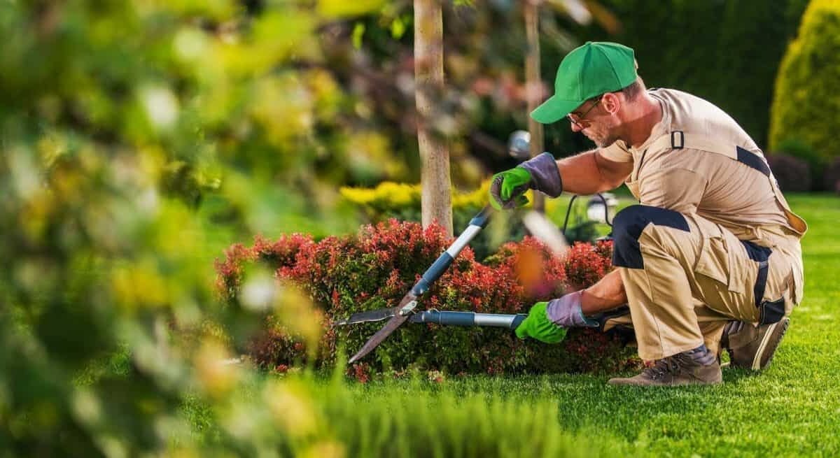 Grounds and Garden Melbourne