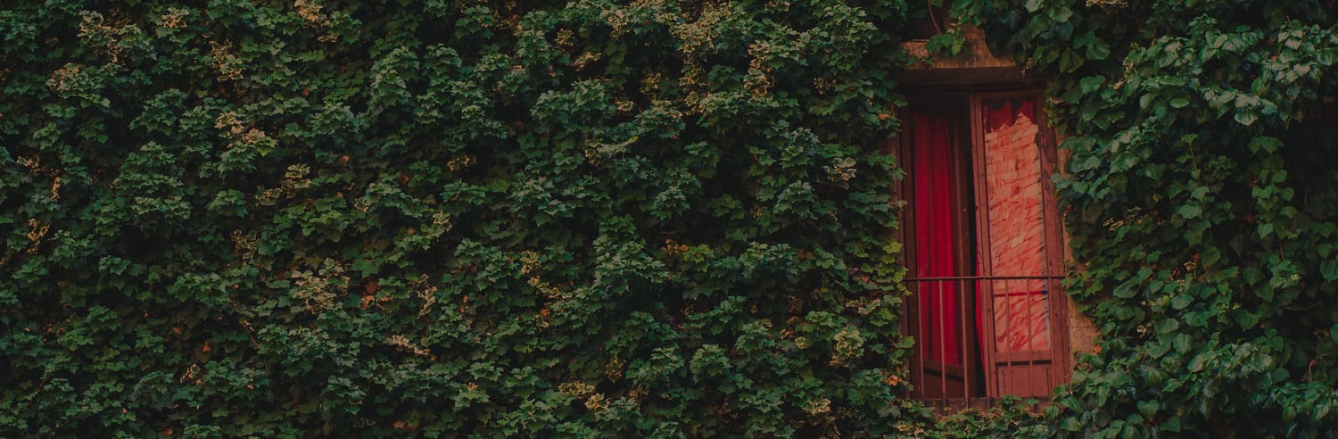 An image of a door nearly hidden in foilage. The door is open. Mysterious and hopeful. Credit goes to Magic K