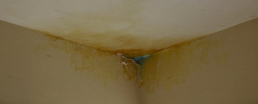 Macchia di umidità sul soffitto — il caso pratico della guida