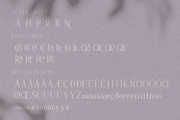 Hisav font character specimen map showing decorative alternates, unique linked ligatures, and extensive multilingual glyph accents on a textured lavender background with leaf shadows.