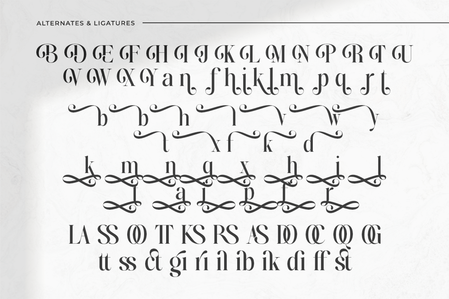 Comprehensive typographic specimen sheet of the Bridens serif font, displaying its diverse collection of stylistic alternates, sweeping decorative swashes, and unique interlocking ligatures.