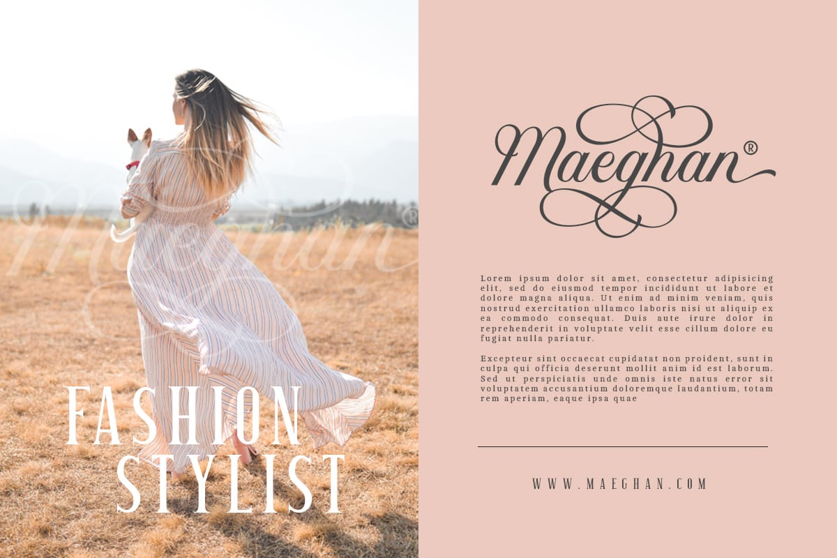 Elegant calligraphy style script font used in a fashion stylist logo