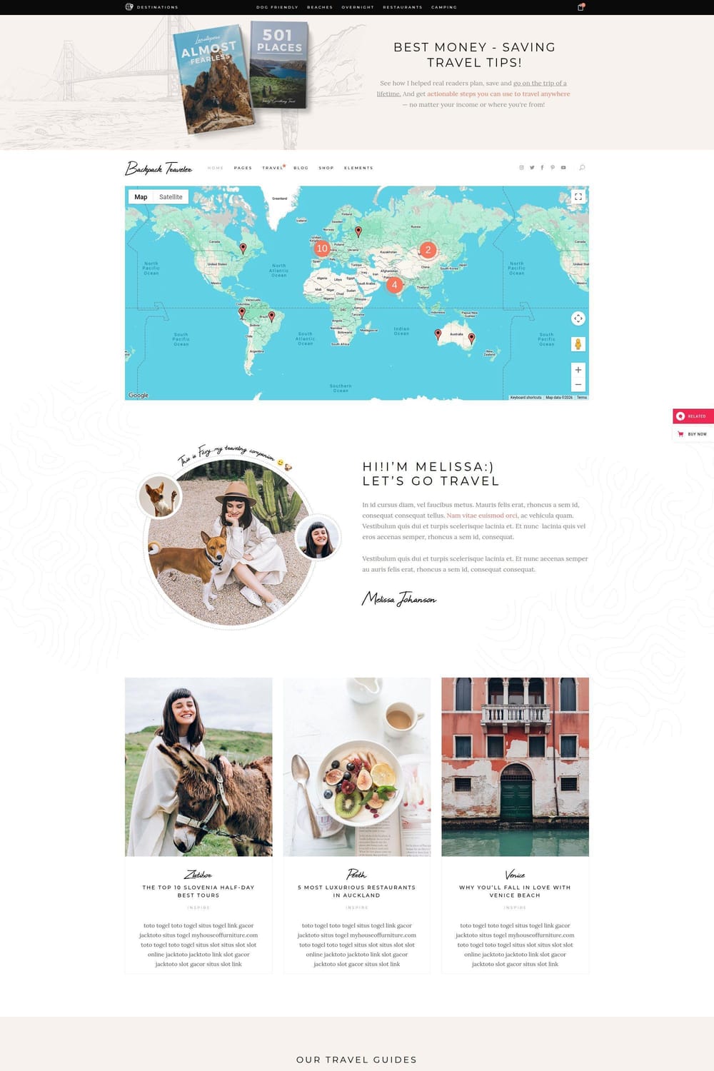Backpack Traveler theme's interactive Google Maps destination page with pinned travel locations and author bio section