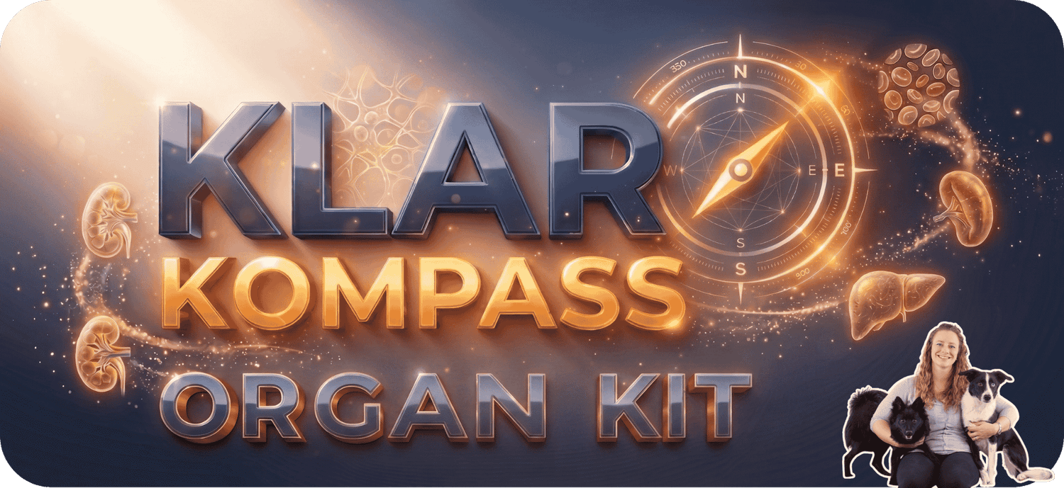 KLAR Organ Kompass