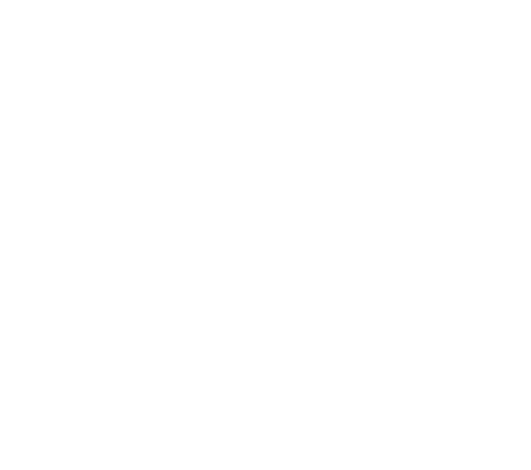 logo29.png