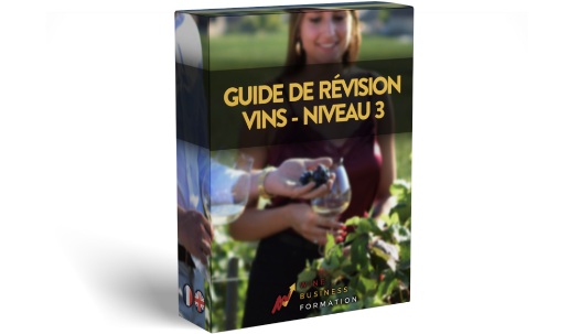 Le guide de révision avec questions ouvertes pour obtenir son certificat WSET3 rapidement en gagnant du temps