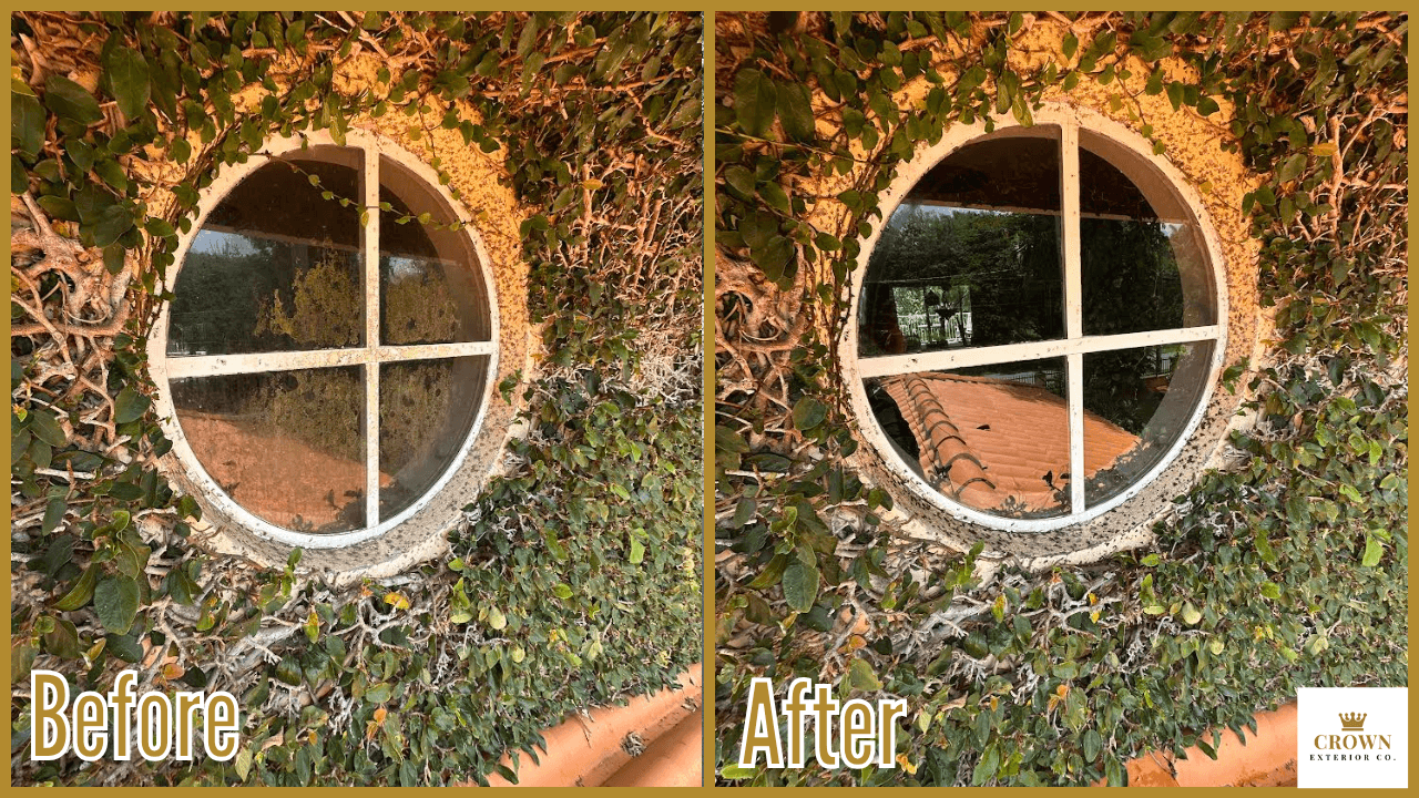 Before & After Window Cleaning