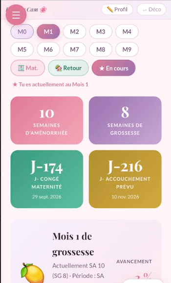 Aperçu de l'application