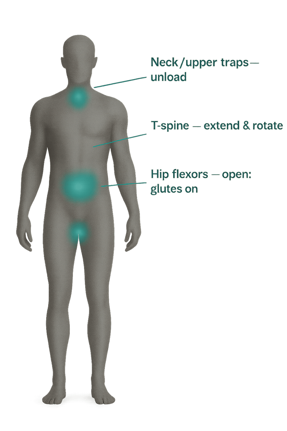 Human silhouette with teal glow at neck/upper traps, thoracic spine, and hip flexors to indicate focus areas