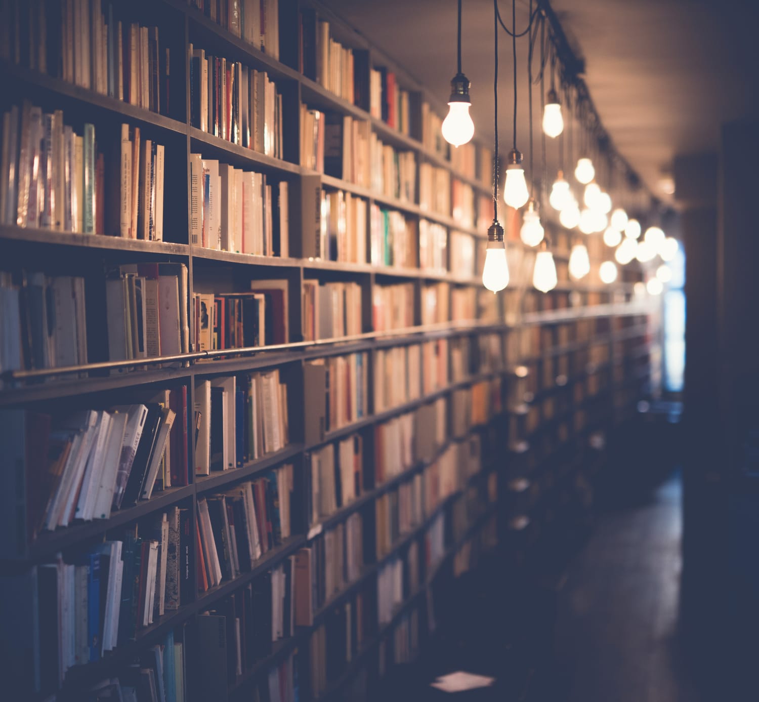 Dim image of a wall of library books. Multiple naked light bulbs hanging down the row