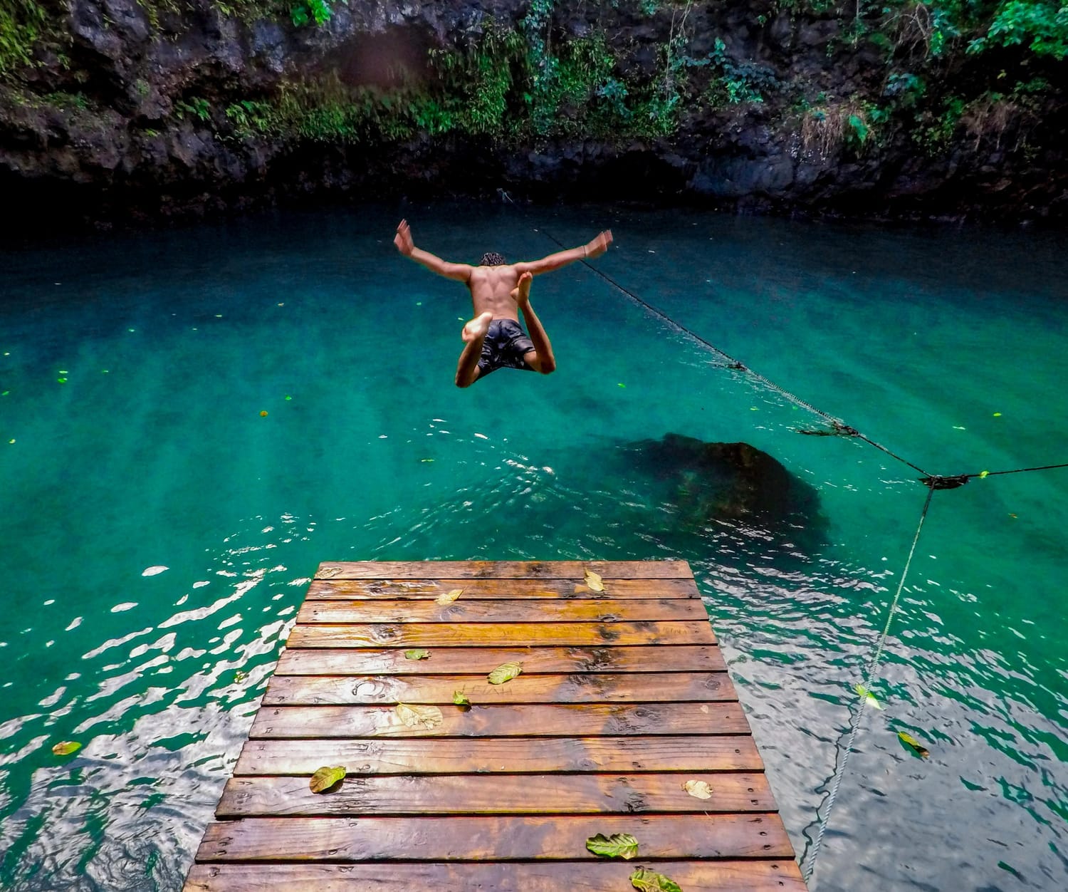Back of male body jumping off a wooden dock into teal blue water. Wall of mossy rock in front of him