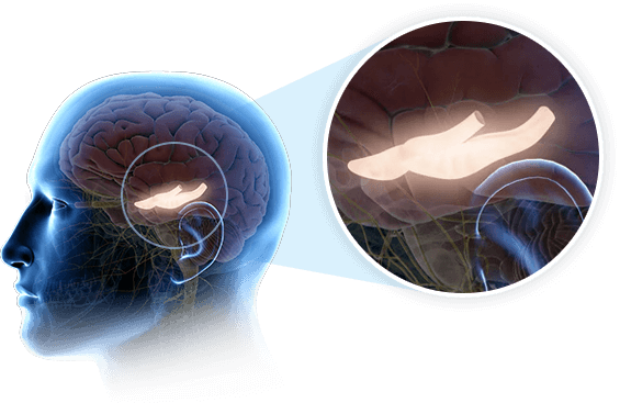 The Genius Wave digital audio program for unlocking brain’s hidden potential