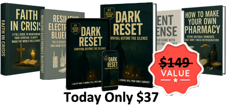 DARK RESET: Survival Before the Silence Official Website