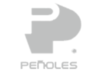 Logo cliente peñoles conectores y mangas flexibles Mextrade Internacional